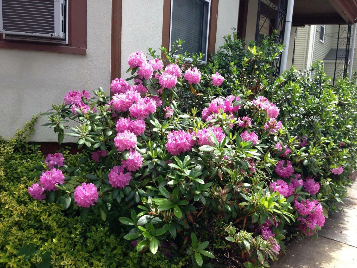 Bowers House Bnb Harvard Mit Cambridge Boston Somerville Esterno foto